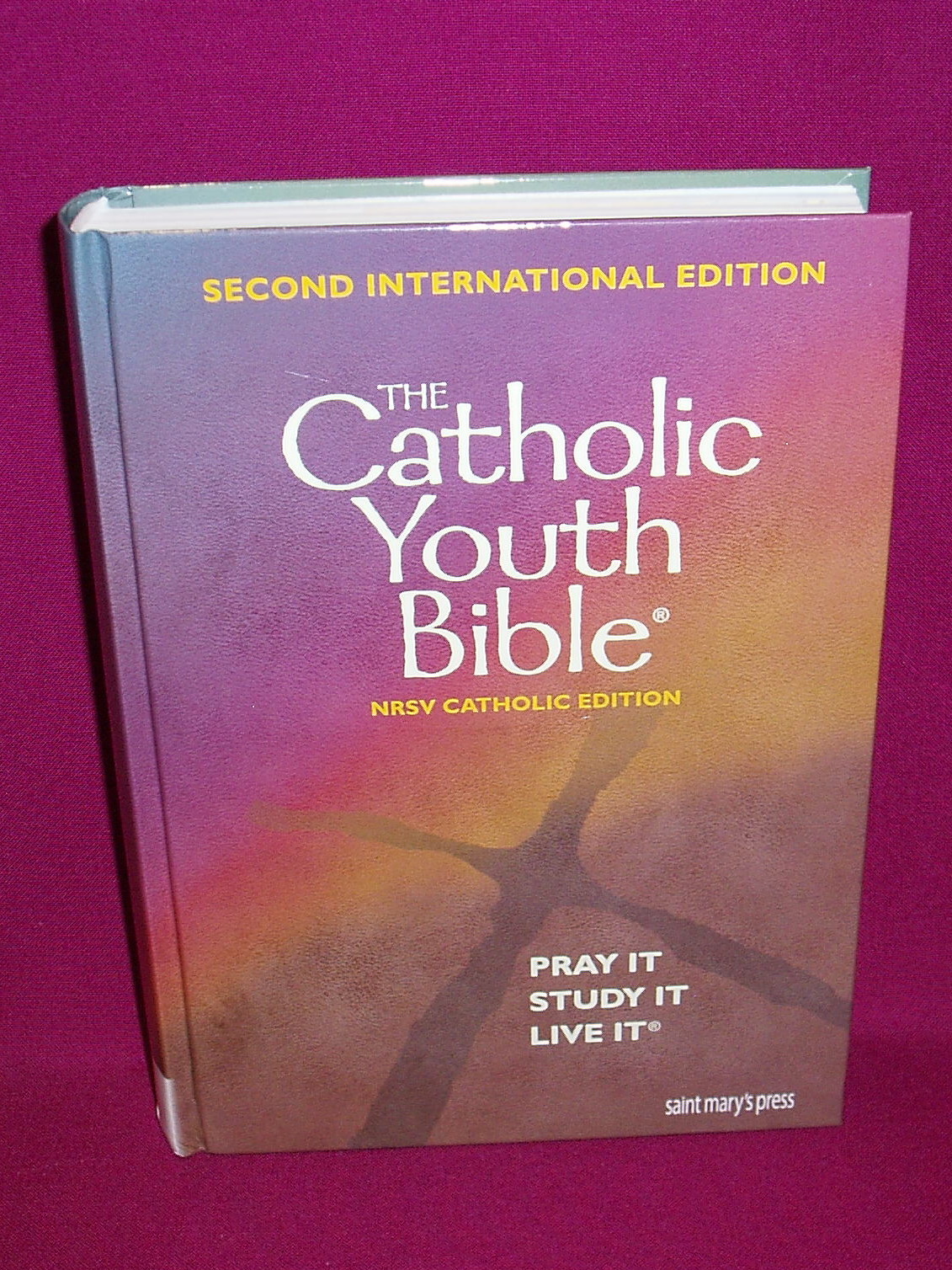 Catholic Youth Bible